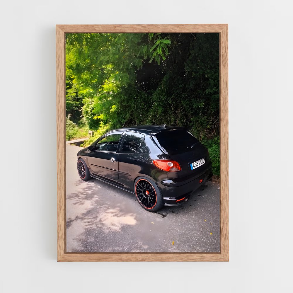 Poster Route 206 GTI – affiche Peugeot (vue 4)